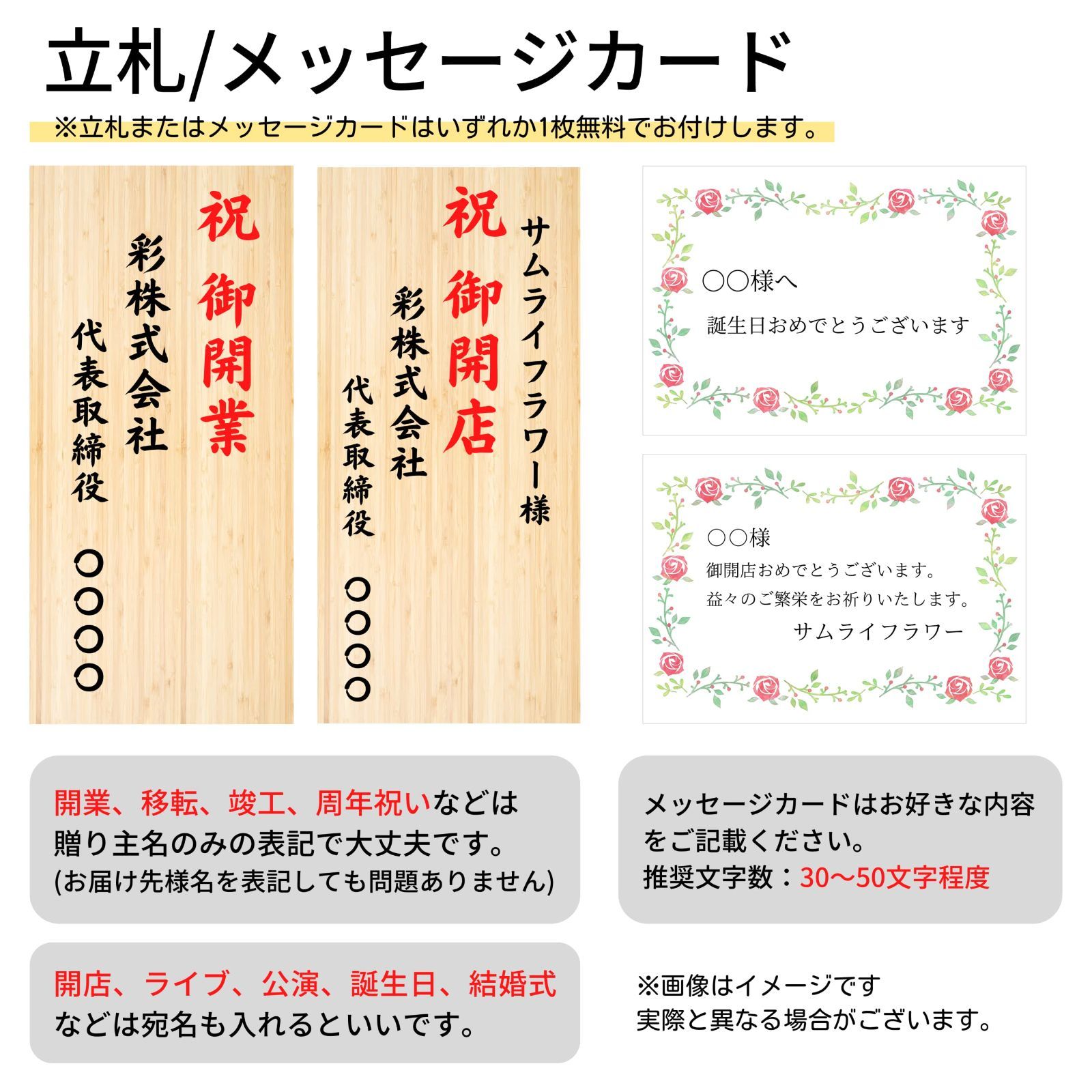 サムライフラワー カラフル胡蝶蘭
