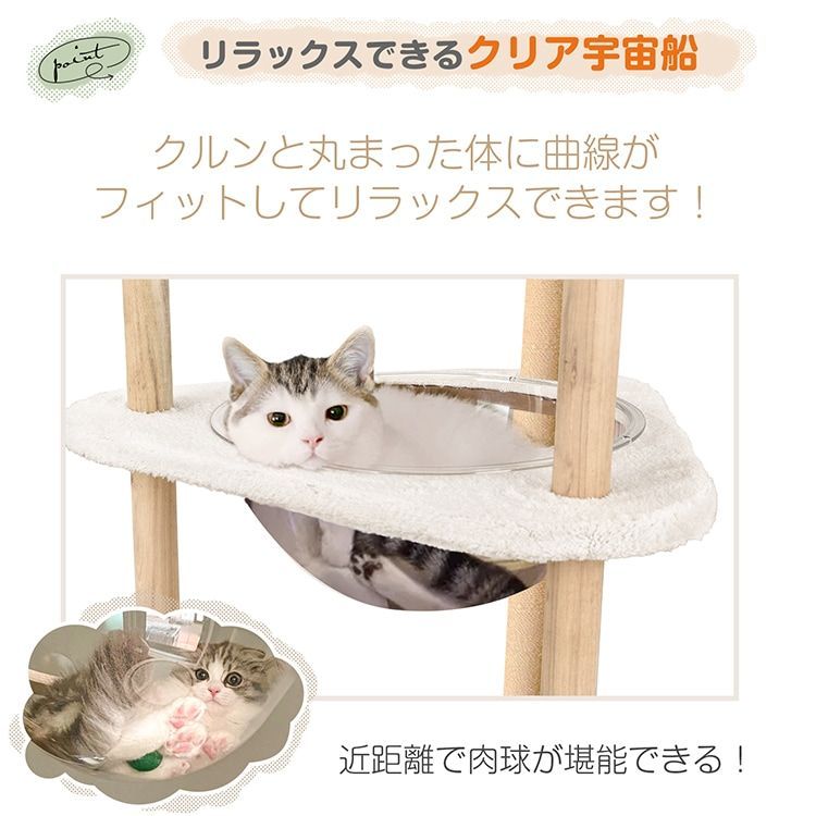 おしゃれ かわいい