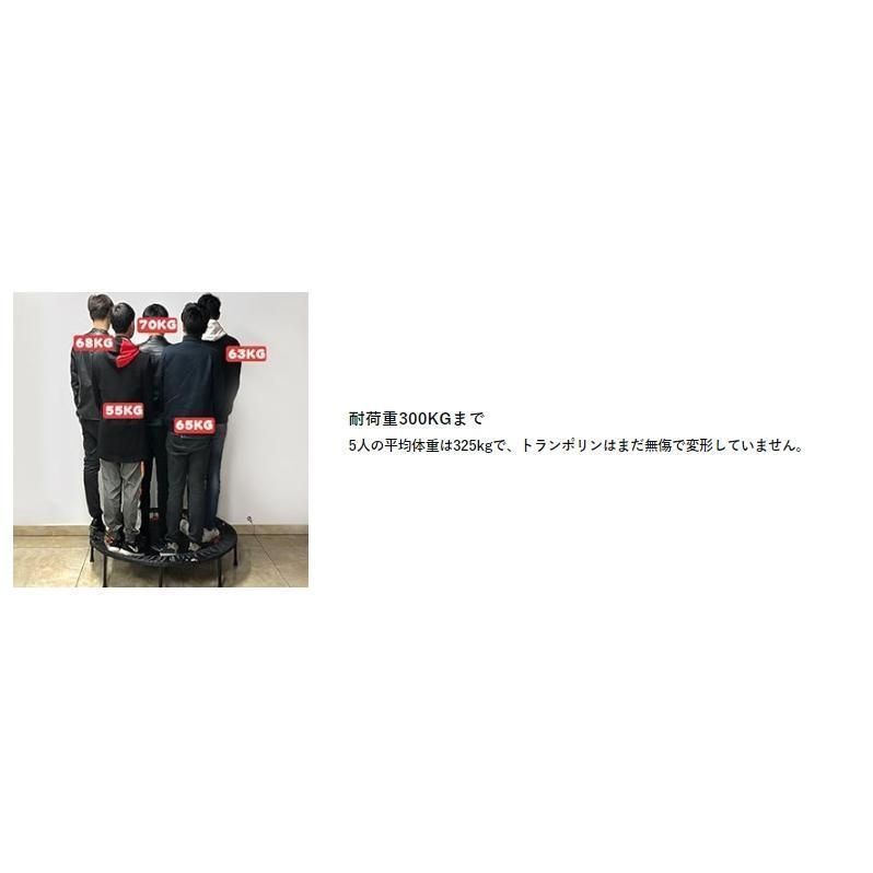 家庭用 耐荷重300kg