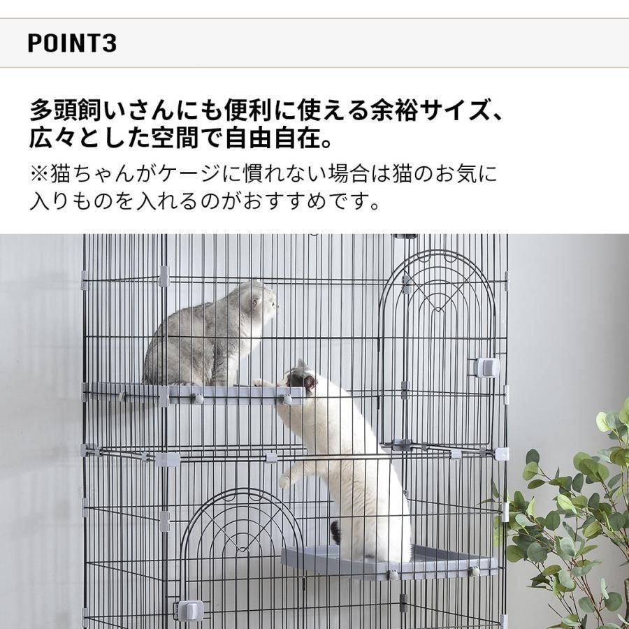 おしゃれ