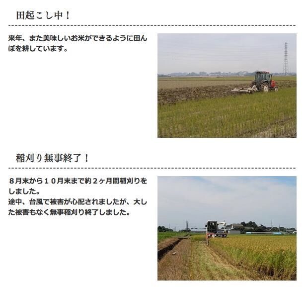 ミルキークイーン 玄米