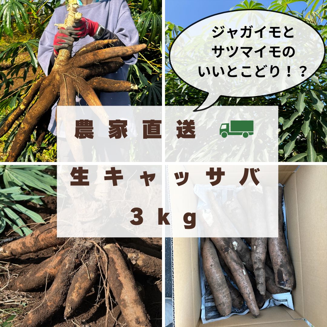 【採れたて直送】静岡県産の黄色甘味種キャッサバ芋20ｋｇ 埼玉県産 新鮮！掘り立てキャッサバ芋3kg（農家直送） - メルカリ
