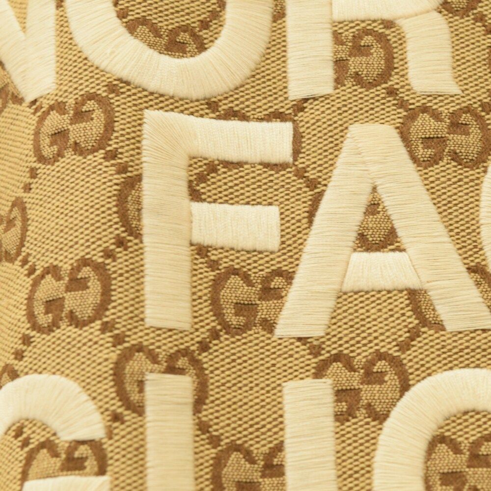GUCCI (グッチ) 21AW×The North Face GGキャンバス ダウン