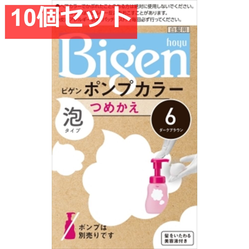 ビゲンポンプカラー つめかえ 6 ダークブラウン 10個セット まとめ売り