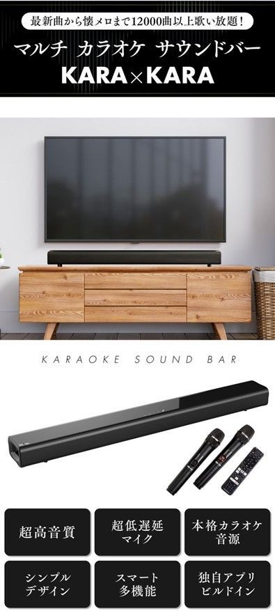 共同テレビジョン 家庭用カラオケサウンドバー KARA×KARA