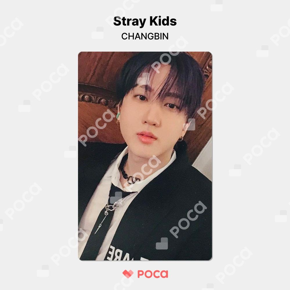 Stray Kids スキズ スミン ATE 限定 チャンビン トレカ StrayKids ATE スミン スキズ 当選 トレカ チャンビン