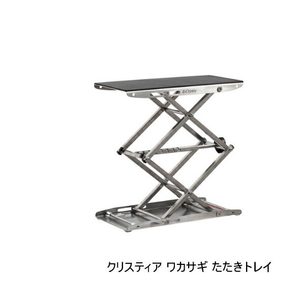 ダイワ クリスティア ワカサギ たたきトレイ