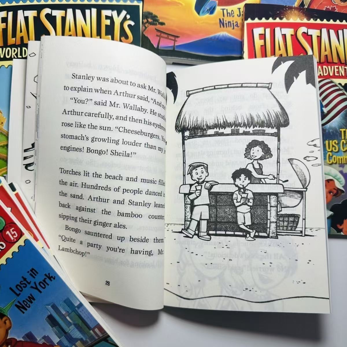 The FLAT STANLEY Collection 英語絵本21冊 - メルカリ