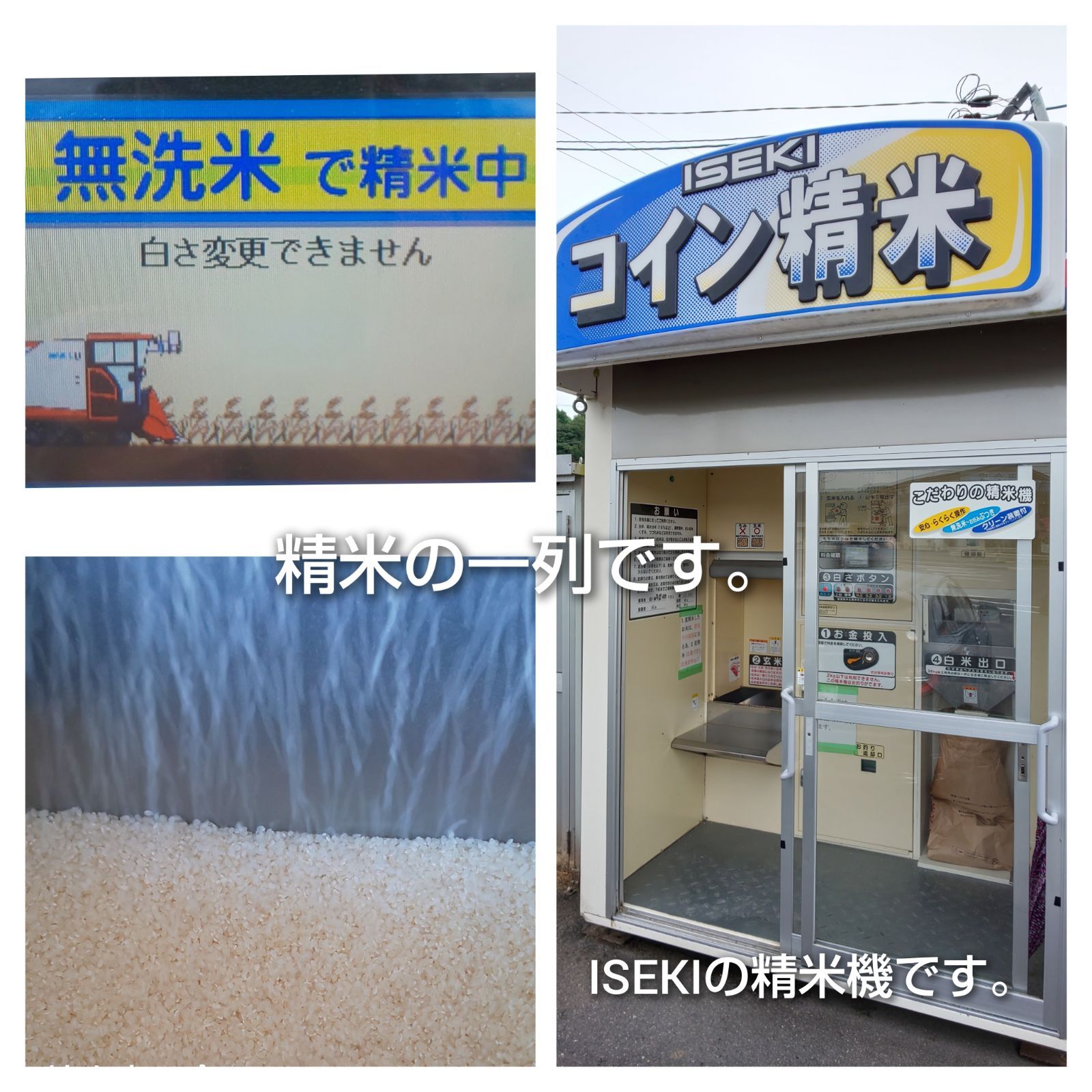 令和6年産 三重県伊賀市産コシヒカリ 30㎏ 無洗米 (送料 精米料 消費税込) - メルカリ