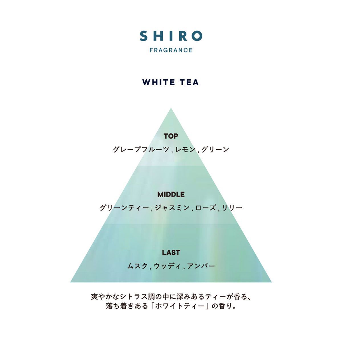 大容量