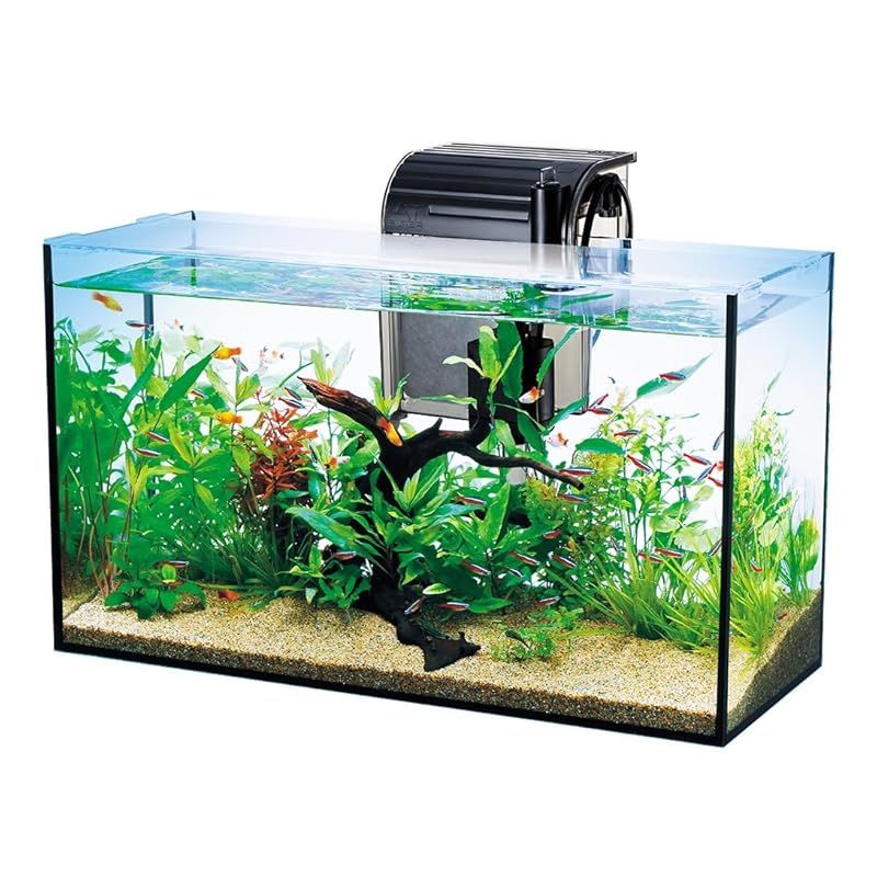 Amazon | Tetra テトラ オールグラスアクアリウム420 熱帯魚