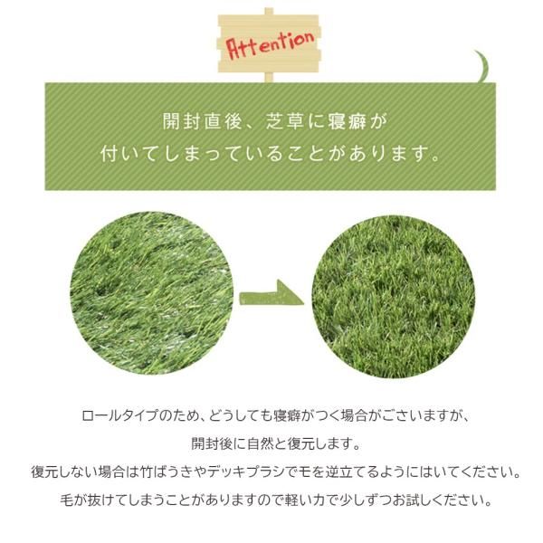 リアル人工芝