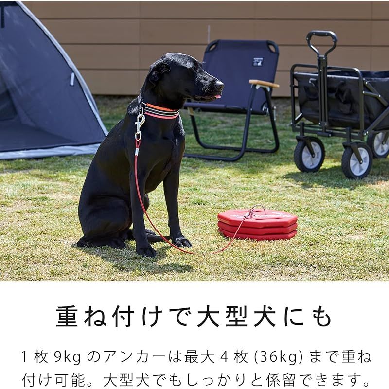 3mワイヤー 係留