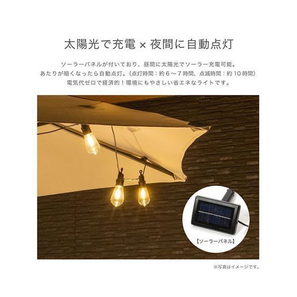 10球 フィラメント電球