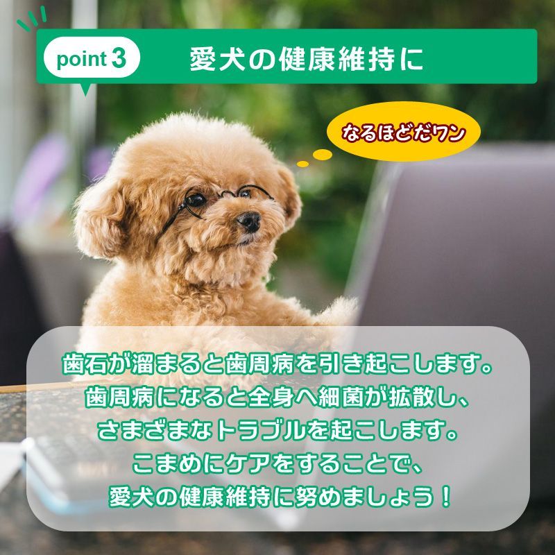 犬 歯石取り 器具 ペット用 スケーラー ハンドスケーラー スケラー 自宅いぬ用猫用ネコ老犬老猫 デンタルケア用品 ヘルスケア デンタルヘルス 口腔ケア虫歯予防歯磨き歯周病歯髄炎安全歯石とり歯石除去お手入れ7歳10歳12歳13歳14歳15歳★2