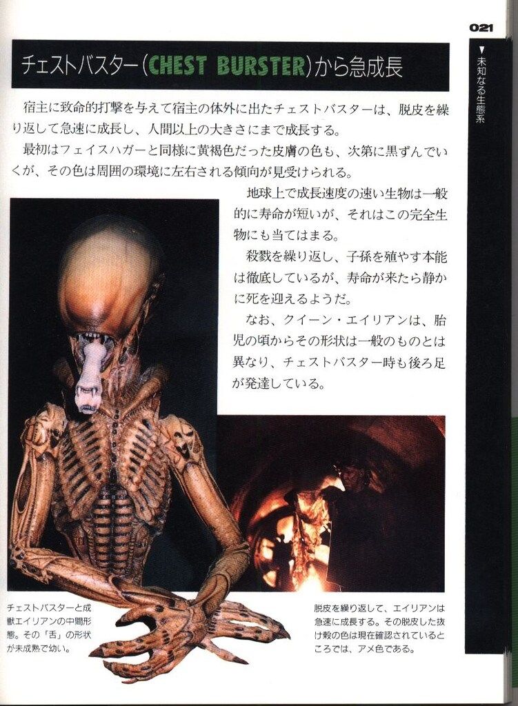 アトリエロンド・ロンドの足跡 大サイズ 40個入り 1箱 アトリエロンド 】 ロンドの足跡 ［40枚入］ アトリエロンド・ロンドの