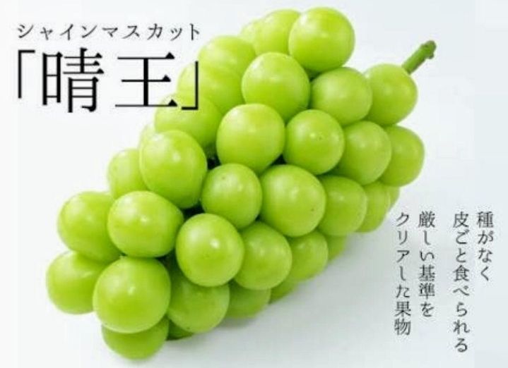 岡山産 晴王 シャインマスカット3L 2kg2 4房 お中元 還暦祝 新築祝い 誕生日祝 御供え