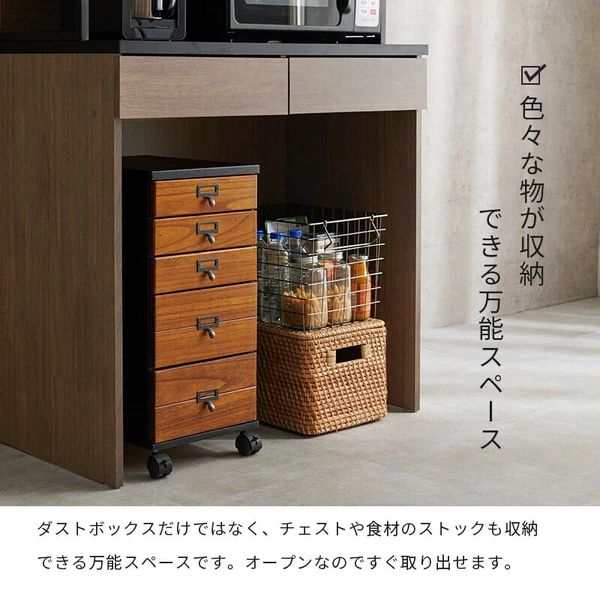 扉付き収納 可動棚