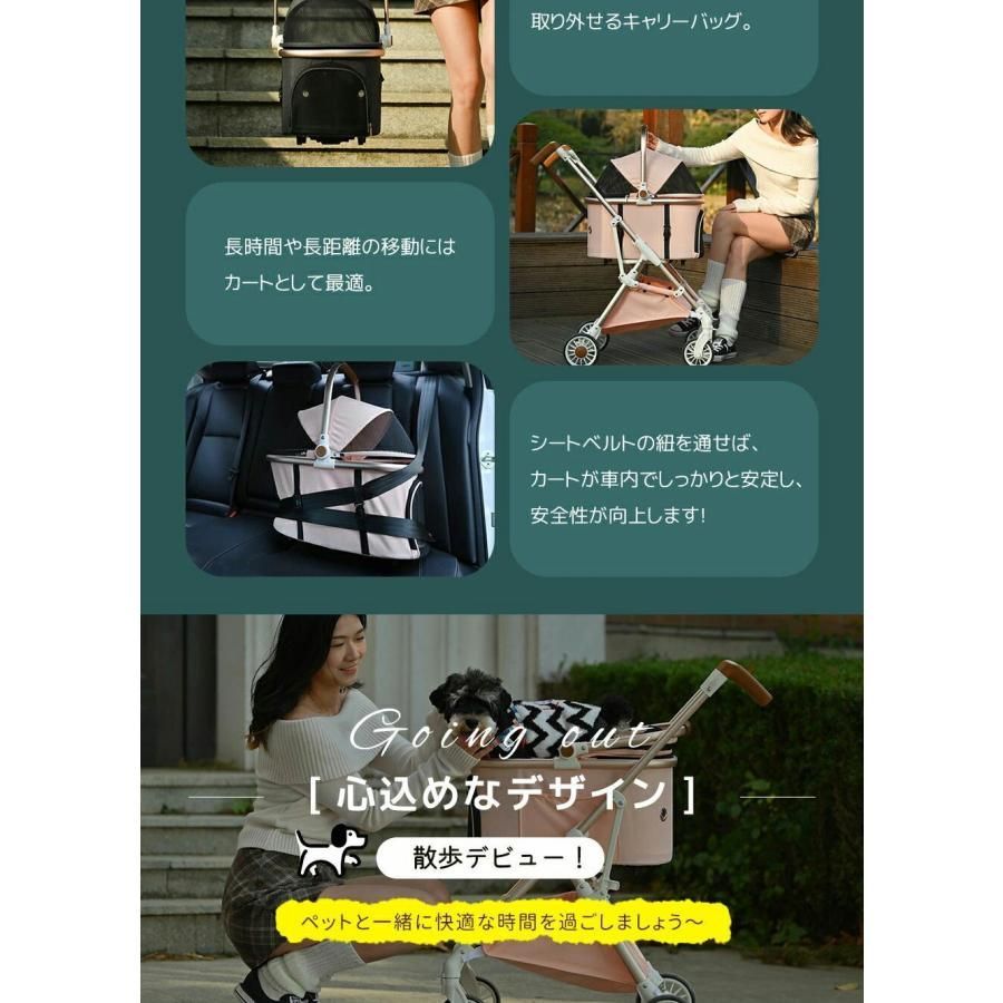 小型犬