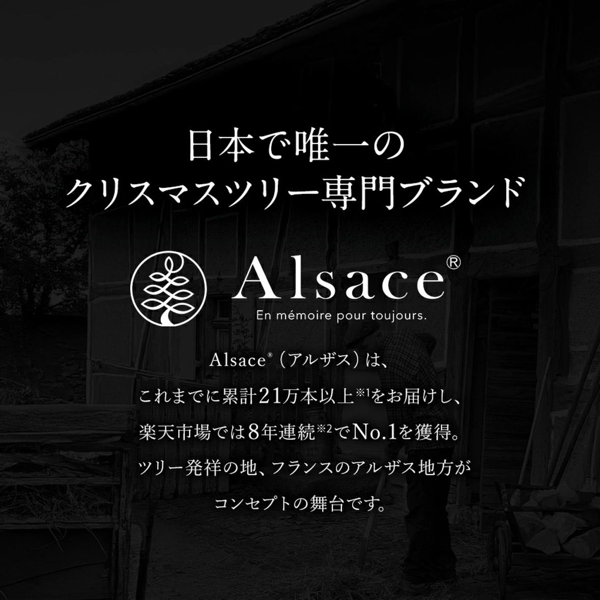 公式 Alsace R スノークリスマスツリー 210cm 豊富な枝数 2025ver. 樅 ドイツトウヒ ツリー オーナメント なし アルザス ツリー Alsace おしゃれ ヌードツリー ornament Xmas tree SKLAD-KIRPICHA_RU