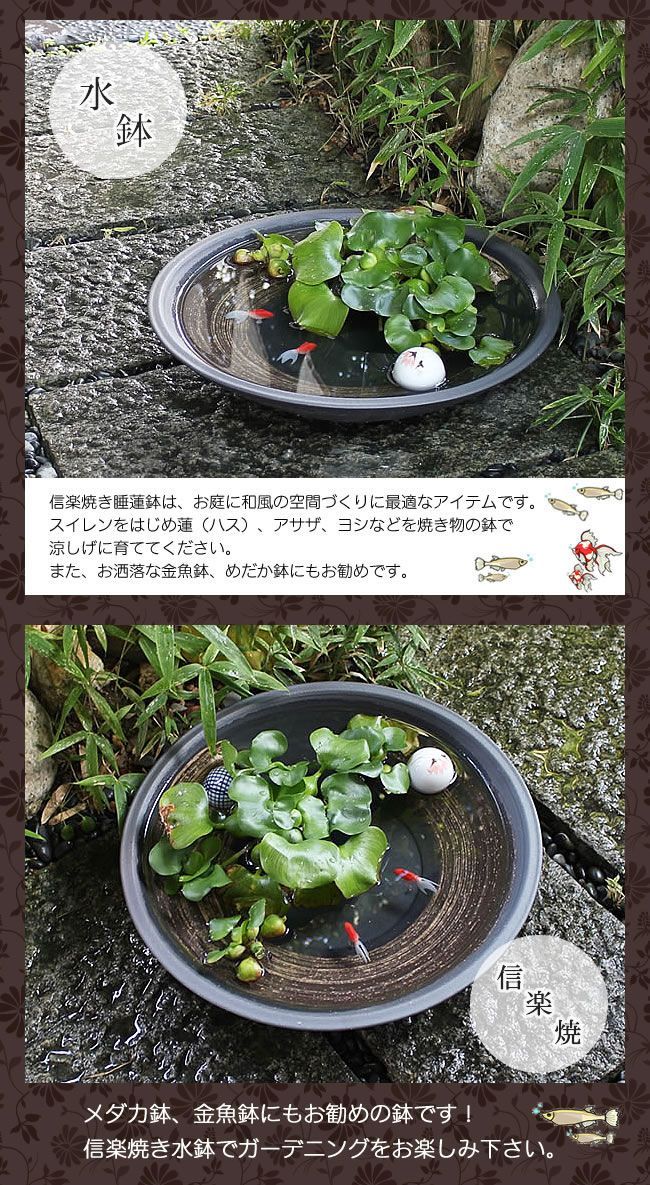 信楽焼 陶器 水鉢 メダカ鉢 金魚鉢 睡蓮鉢 15号黒刷毛目浅型水鉢 信楽焼 陶器 水鉢 メダカ鉢 金魚鉢 睡蓮鉢 15号黒刷毛目浅型水鉢