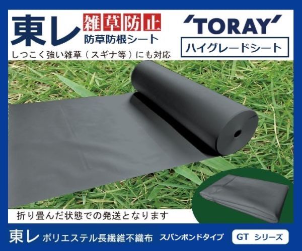 Tesoro様