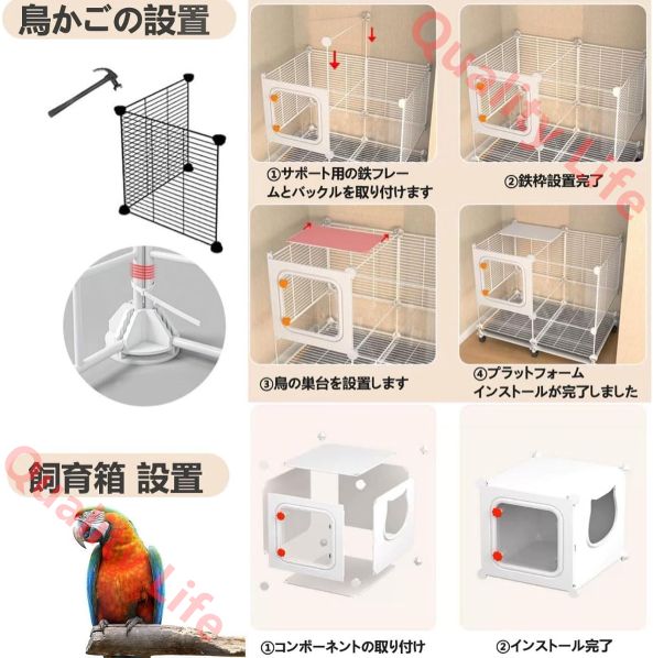 インコ キャスターと