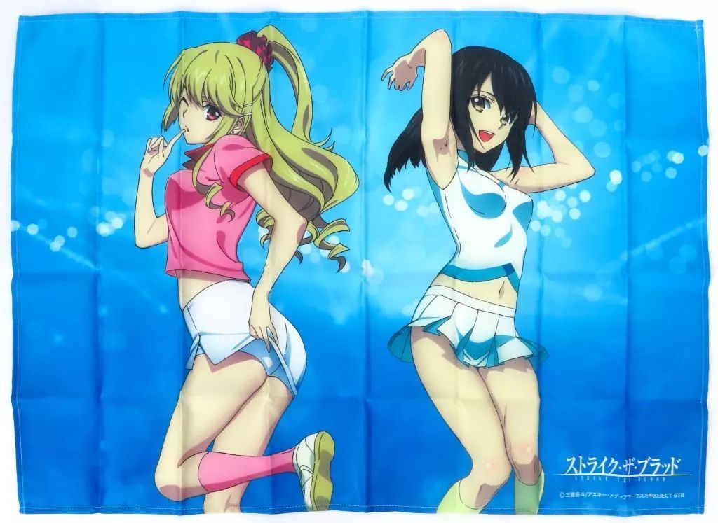 中古】ポスター オリジナルB2布ポスター 姫柊雪菜＆藍羽浅葱