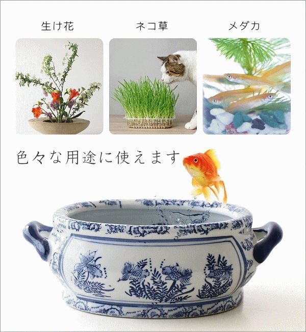 金魚鉢 陶器 おしゃれ 和風 水鉢 メダカ鉢 かわいい レトロ 楕円形