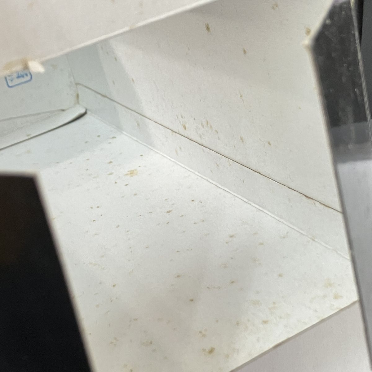 エンタテインメント