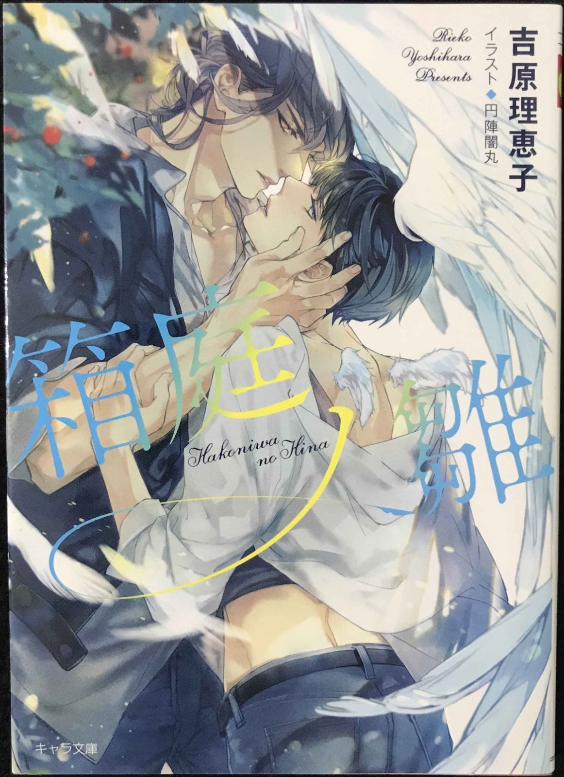 箱庭ノ雛【初回限定ペーパー付き】 二重螺旋14 (キャラ文庫) 箱庭ノ雛【初回限定ペーパー付き】 二重螺旋14 (キャラ文庫