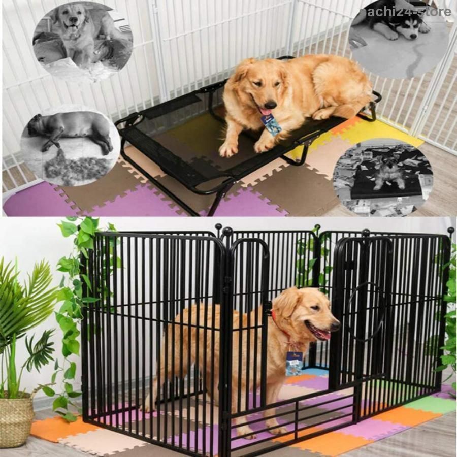 中型犬