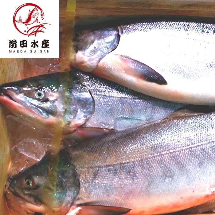 北海道産】秋鮭メス 1本（約2.7～3ｋｇ） 生鮮品 アキサケ さけ 漁師さん応援 消費拡大 - メルカリ