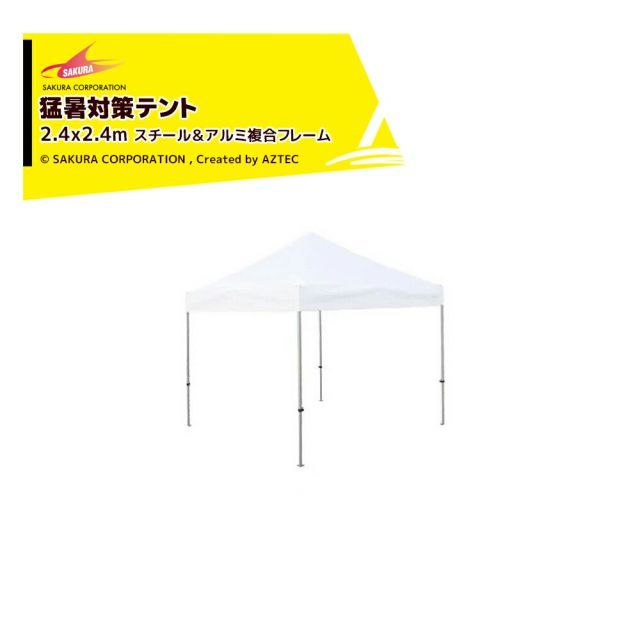 金子栞 グラビアザ・テレビジョン 直筆サイン入りチェキ