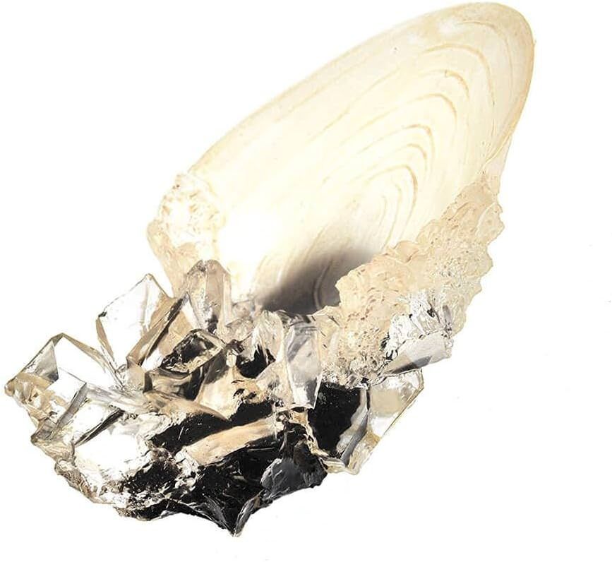 ハリーポッター　クリスタルゴブレット　複製原画 Amazon.co.jp: Harry Potter Replica Dumbledore Crystal Goblet