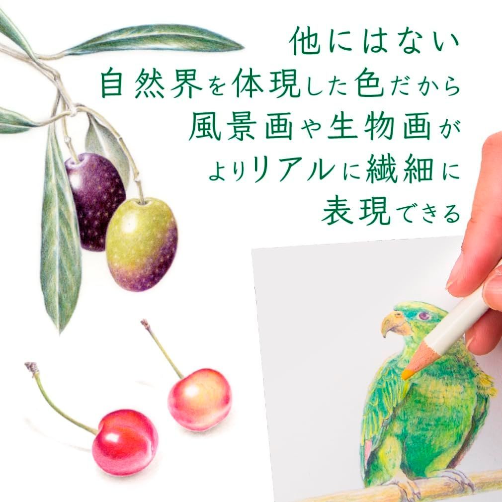 あらゆる自然の色を集めた100色 全色セット CI-R100CBAZ 色辞典 ブック型 100色 色鉛筆 トンボ鉛筆