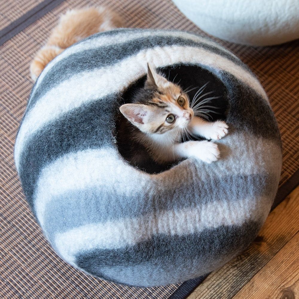 猫ハウス