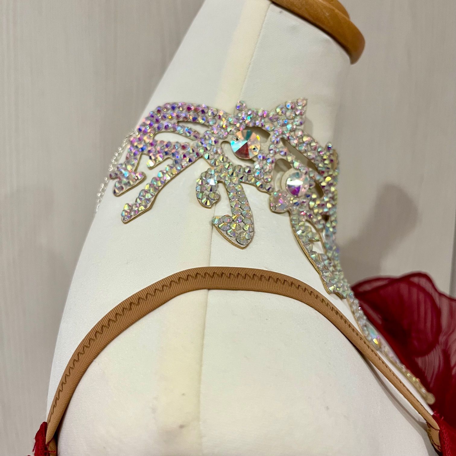 社交ダンス ゴージャス デモ パーティー ラテンドレス モダンドレス 豪華ネックレス