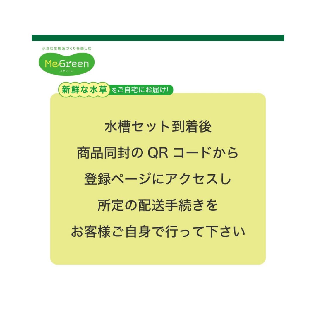 MeGreen メグリーン
