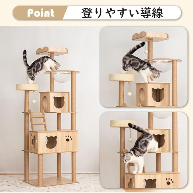 中型 爪研ぎ