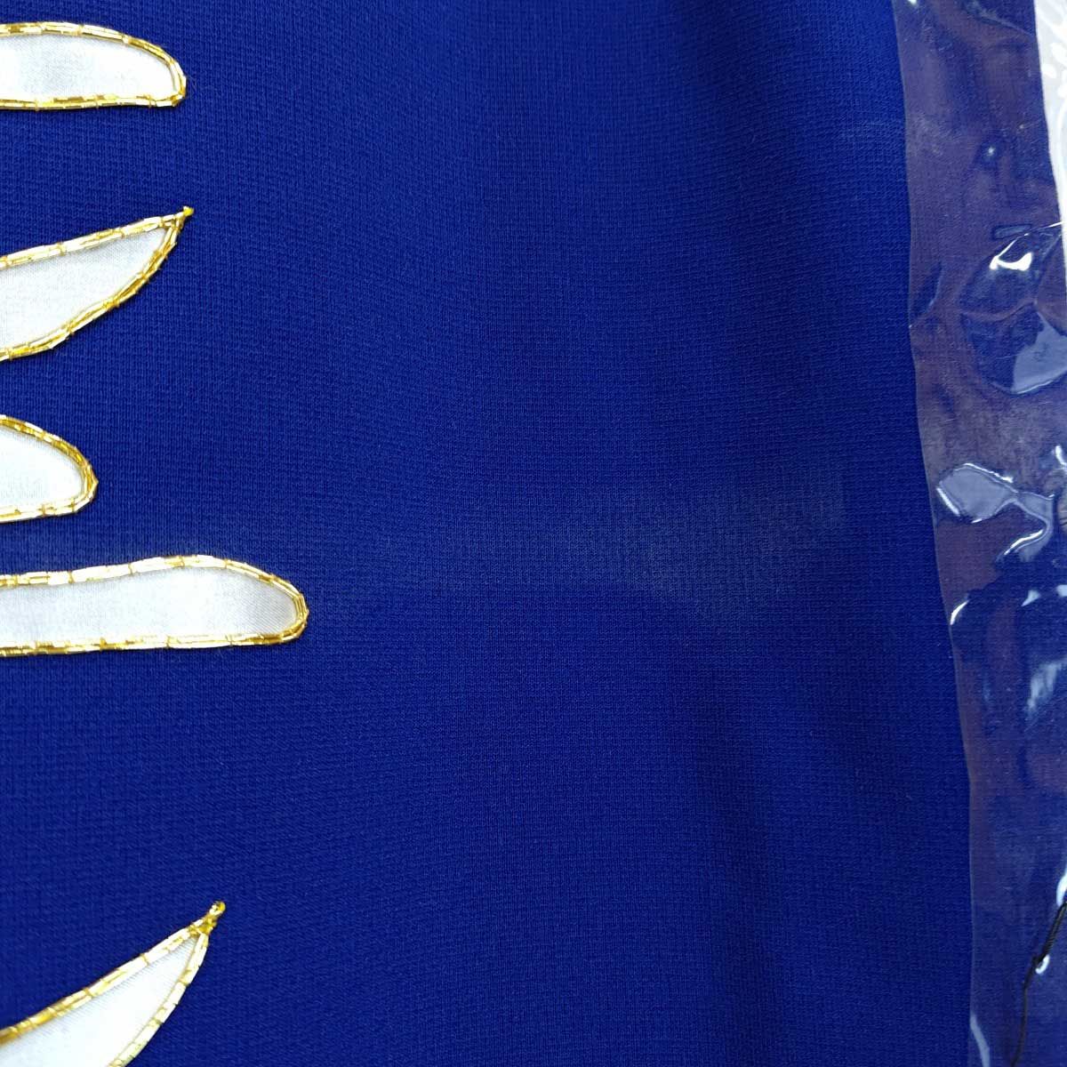 第41回 アルゼンチン共和国杯