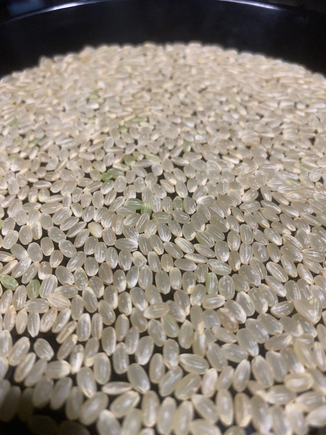 新米 令和5年産 きぬむすめ 玄米30キロ 淡路島産 精米小分け可 30kg