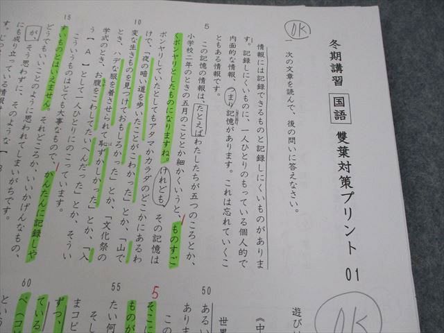 値下げ⭐️啓明館　小6 冬期講習と冬期直前　正月特訓テキストセット SAPIX サピックス 小6 国語 SS特訓/冬期講習/正月特訓 雙葉