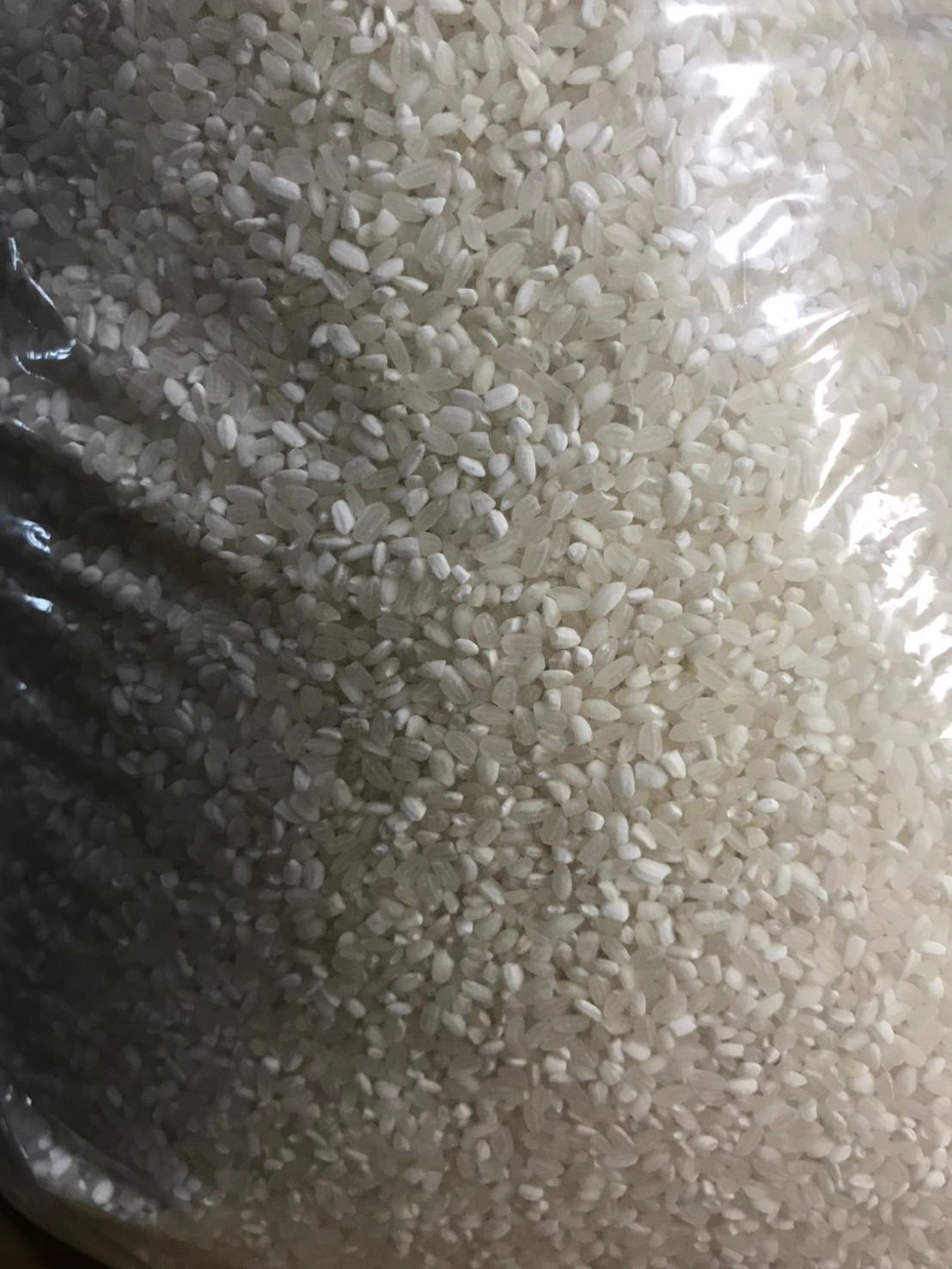 コスパ米 白米 20kg 新品 - メルカリ