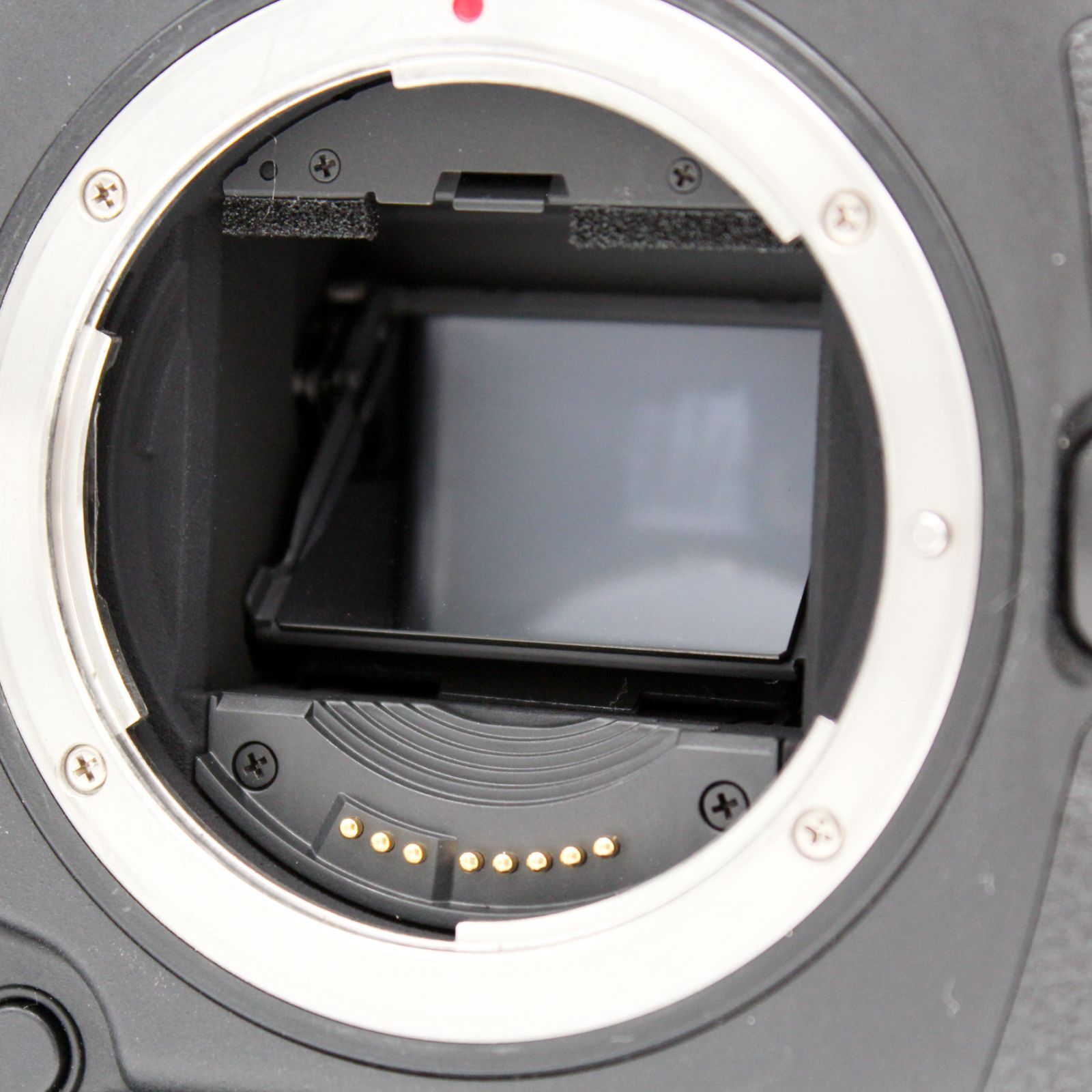 シャッター数81000枚以下【極上品】CANON EOS-1D X Mark II