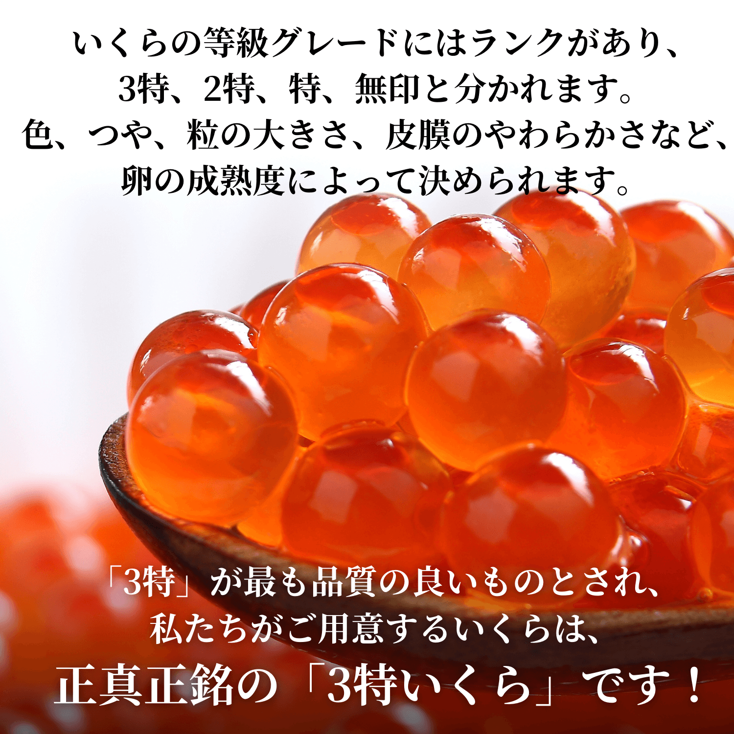 最高級秋鮭イクラ★北海道産 醤油漬け大粒いくら500g 天然 お歳暮、おせちに