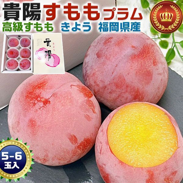 御中元 すもも プラム 貴陽 きよう 福岡県産 貴陽 1箱 5-6玉入 ギフト プレゼント 贈答用 ぷらむ 高級果物 希少フルーツ 贈物 ...