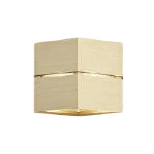 ビアホップ☆新たまつづり☆多肉植物☆鉢ごと ビアホップ☆新たまつづり☆多肉植物☆鉢ごと