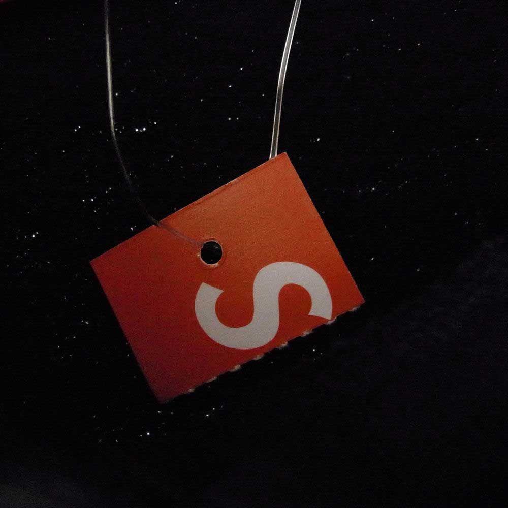 Supreme シュプリーム パーカー 18SS Nan Goldin Misty and