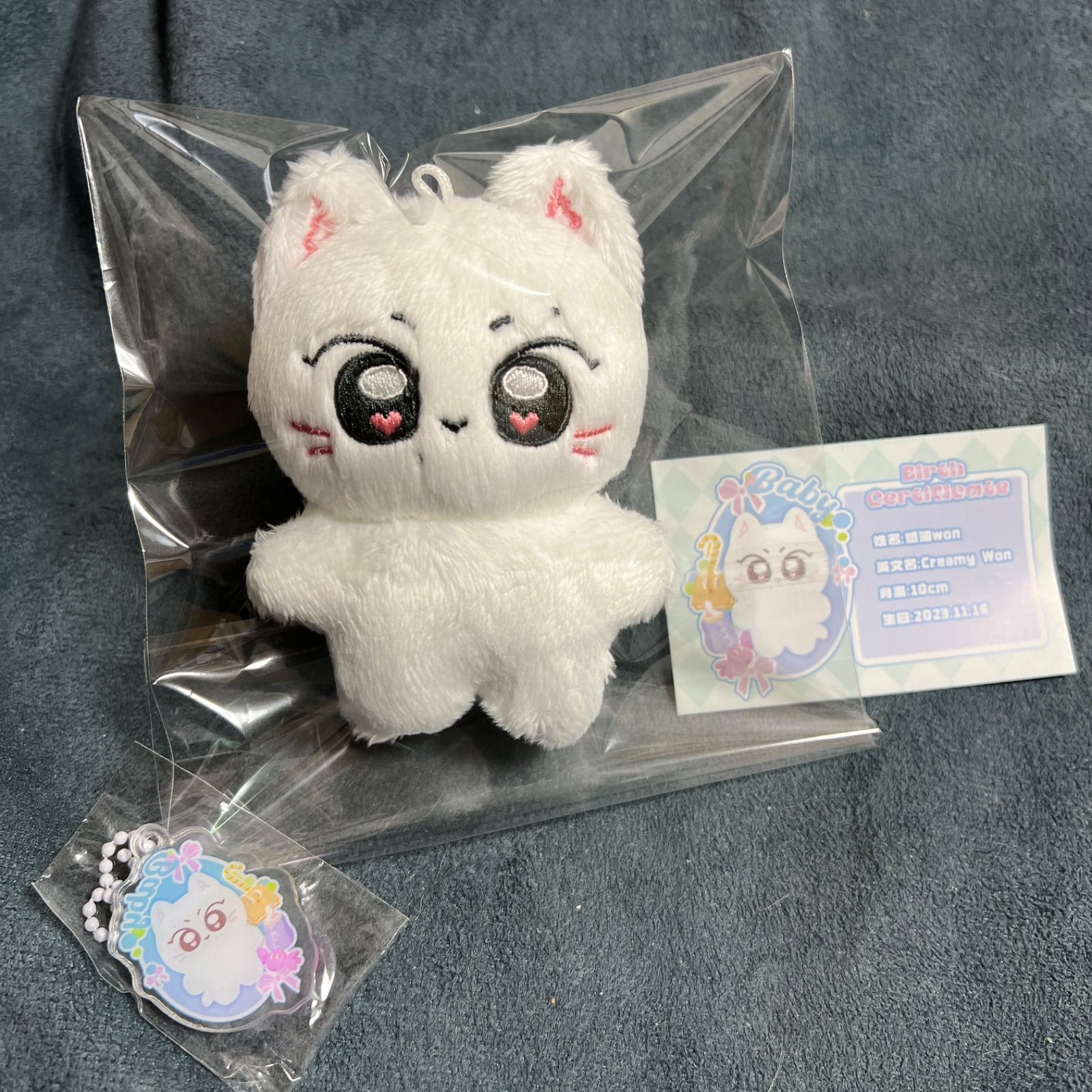 Amazon.co.jp: enhpyen ジョンウォン ぬいぐるみ 10cm マスター : おもちゃ